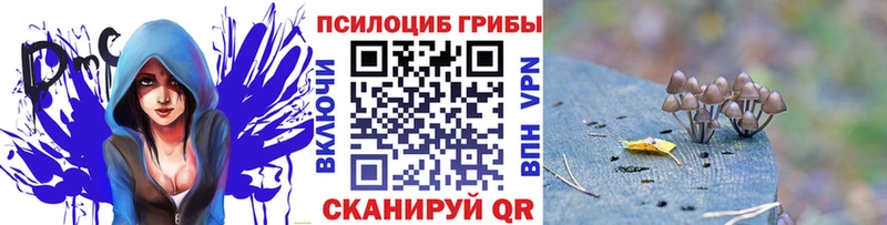 Псилоцибиновые грибы прущие грибы Покров